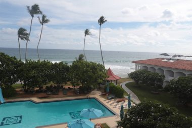 Srilanka palm dalga deniz