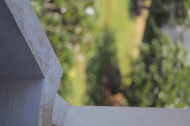 muz man satmak tüm bannana