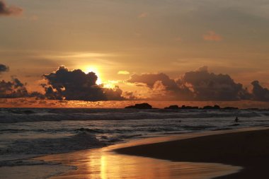 Sadece o uçak varsa köpek uçabilir