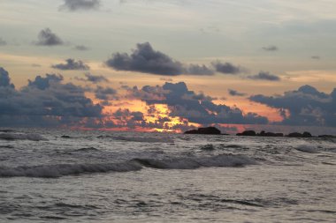 Sadece o uçak varsa köpek uçabilir