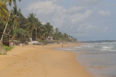 büyük budda seyahat balık ay taşı