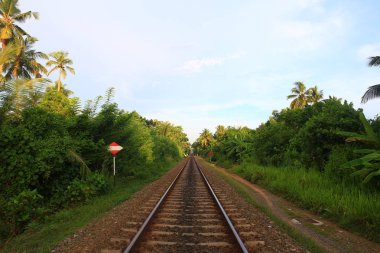 büyük budda seyahat balık ay taşı