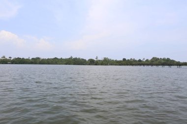 büyük budda seyahat balık ay taşı