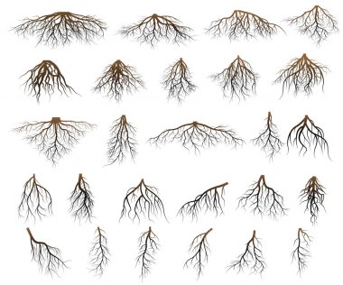 Set of tree roots clipart