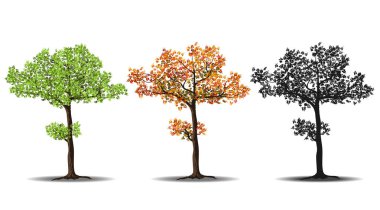 kırmızı, yeşil ve siluetleri ağaç