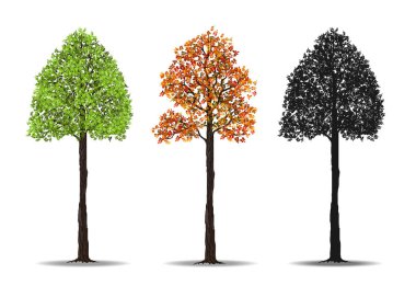 kırmızı, yeşil ve siluetleri ağaç