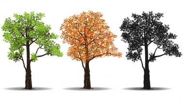 kırmızı, yeşil ve siluetleri ağaç