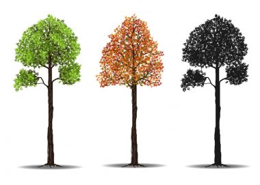 kırmızı, yeşil ve siluetleri ağaç