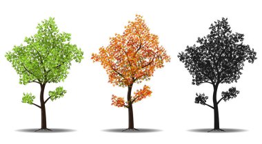 kırmızı, yeşil ve siluetleri ağaç