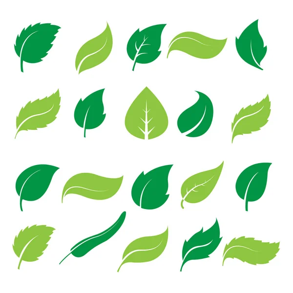 Iconos de hoja verde — Vector de stock