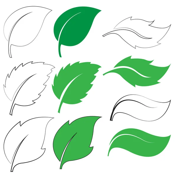 Ícones de folhas verdes — Vetor de Stock