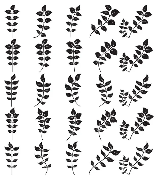 Siluetas hojas iconos — Archivo Imágenes Vectoriales