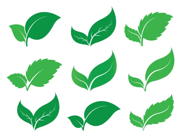 Hoja verde — Vector de stock