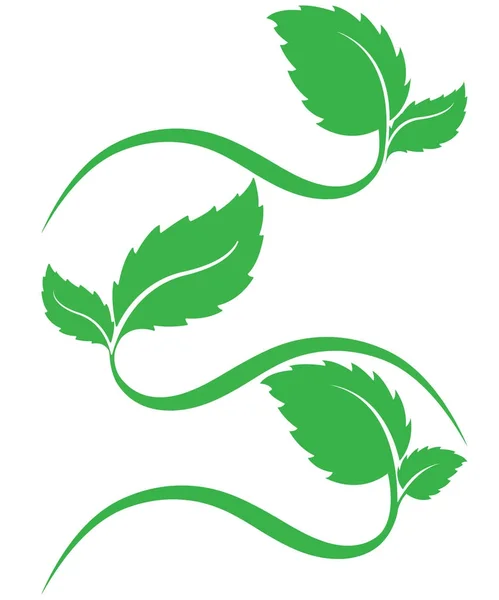 Liście logo — Wektor stockowy
