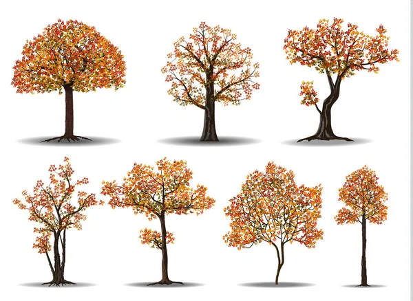 Árvore vermelha outono — Vetor de Stock