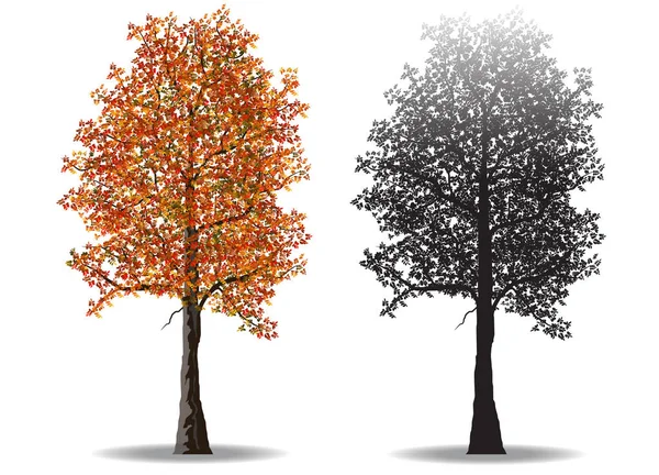 Árbol de otoño rojo y siluetas — Archivo Imágenes Vectoriales