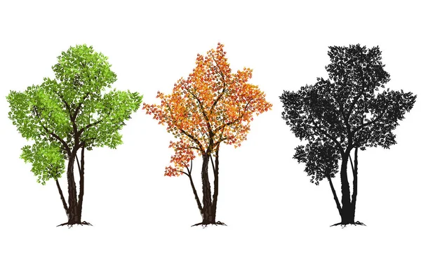 kırmızı, yeşil ve siluetleri ağaç