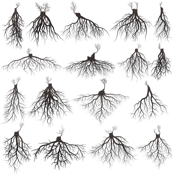 Silueta raíces — Archivo Imágenes Vectoriales