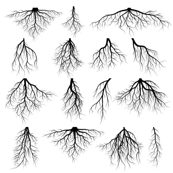 Set of tree roots — Stock Vector