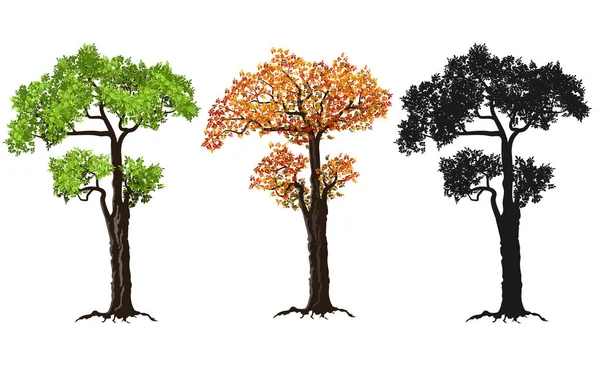 kırmızı, yeşil ve siluetleri ağaç