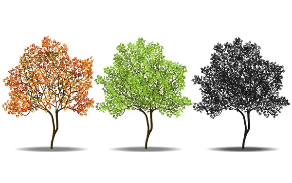 kırmızı, yeşil ve siluetleri ağaç