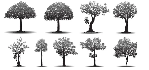 รูปทรงต้นไม้ — ภาพเวกเตอร์สต็อก