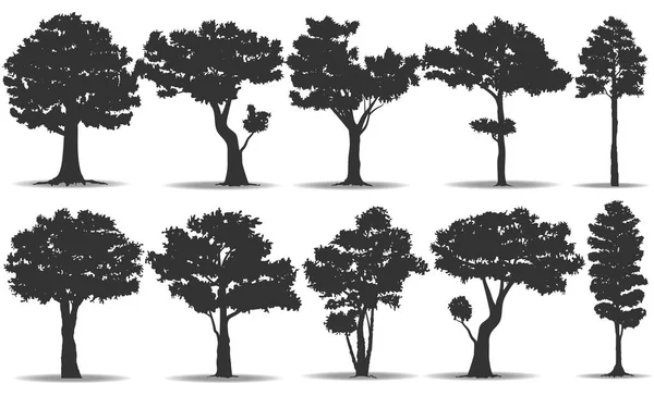 Conjunto de silhueta de árvore — Vetor de Stock