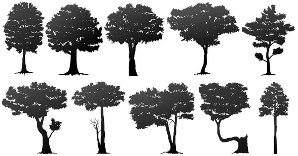 Conjunto de silhueta de árvore — Vetor de Stock
