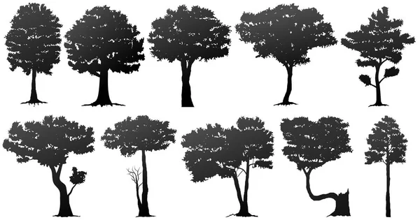 나무 실루엣의 집합 — 스톡 벡터