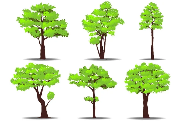 Set of trees — Stock Vector