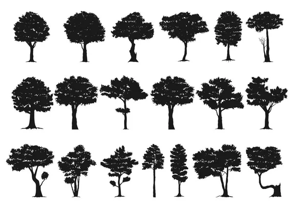 Conjunto de silueta de árbol — Archivo Imágenes Vectoriales