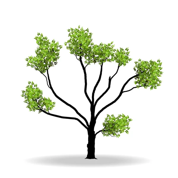 Árbol grande con raíz — Archivo Imágenes Vectoriales