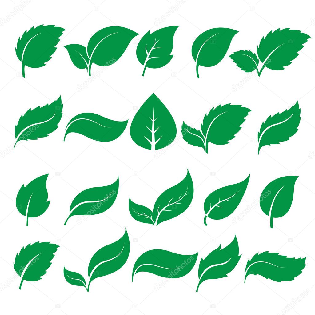 green leaf icons  