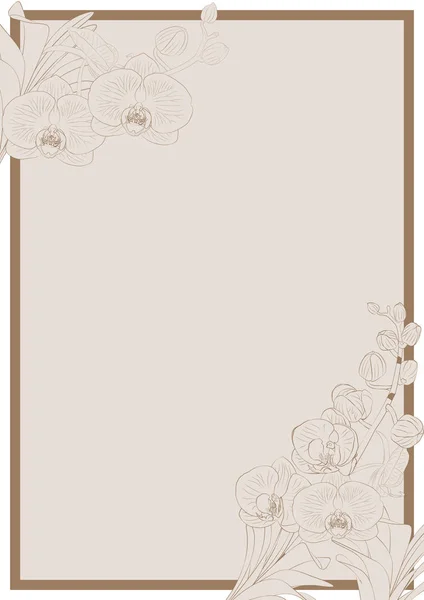 Orchid flowers frame — Stock Vector