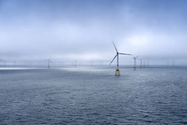 Windmolenpark Zee Noordzee — Stockfoto