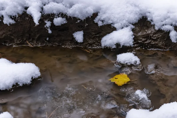 Herbstblatt liegt in einem Pool mit Schnee — Stockfoto