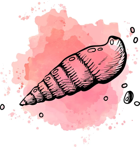 粉红色的背景上长小壳 — 图库矢量图片