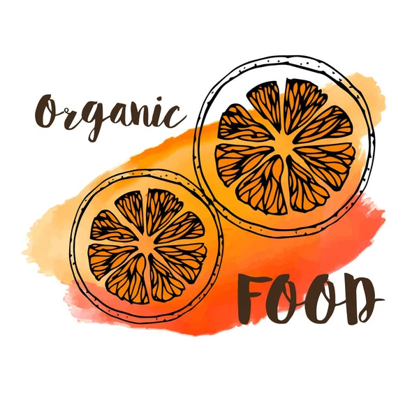 Апельсин на акварельном фоне "Органические продукты питания " — стоковый вектор