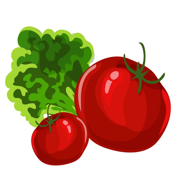 Tomaten. Vector voor het Decor van het voedsel. — Stockvector