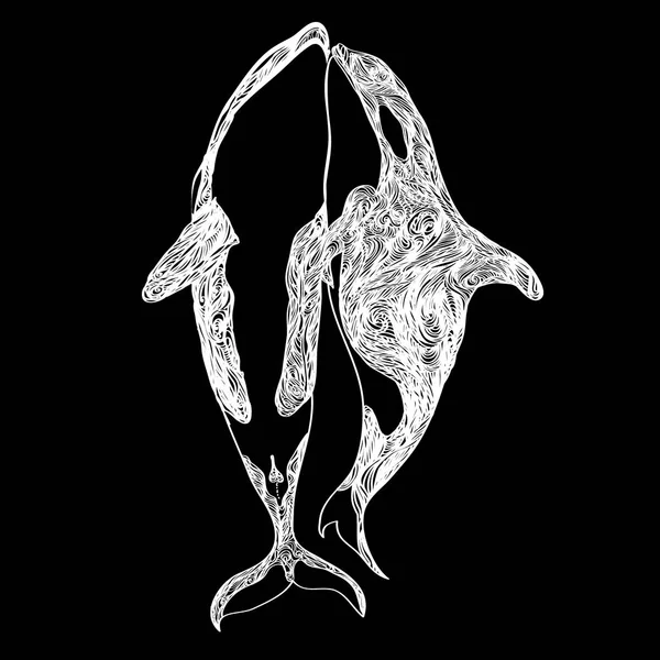 Walvissen zijn kussen een hand getekende tekening vertaald in een vector. — Stockvector