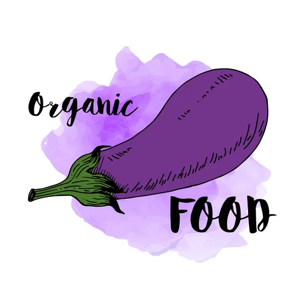 Frisches Auberginen-Gemüse-Symbol auf einem Aquarell-Hintergrund, Text Bio-Lebensmittel. — Stockvektor