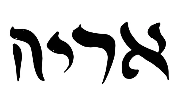 Aslan, Rastafarian sembol sözcük İbranice aslan. — Stok Vektör