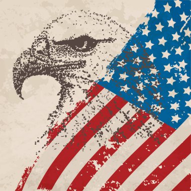 Usa 'nın ulusal sembolü Kartal Sineği