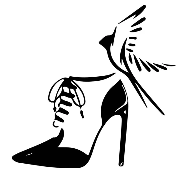 Collezione di eleganti scarpe femminili. Stampa per abbigliamento donna. Vettore — Vettoriale Stock