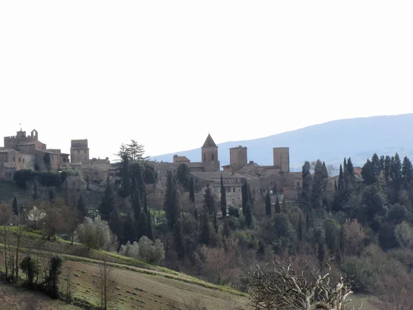Panorama del pueblo de Certaldo, provincia de Florencia. Toscana, Italia — Foto de Stock