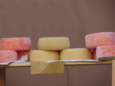 Leziz Toskana Pecorino peyniri ve keçi peyniri tekerlekler. Pecorino ham ewe's süt ile yapılan ve üzüm marc ile aromalı