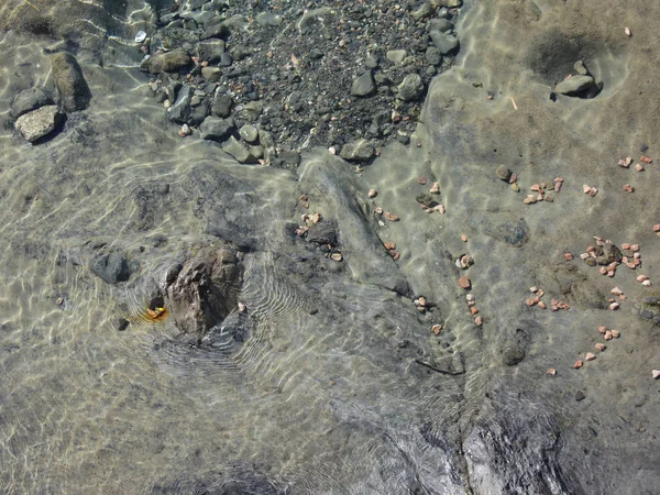Lecho marino rocoso a través de aguas transparentes. Fondo aguas cristalinas — Foto de Stock