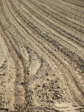 Tarlayı ekime hazırlıyorum. Toprağı sürmeden önce ekin