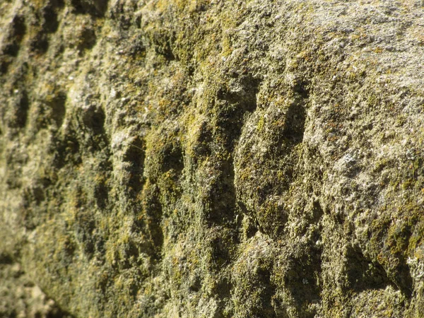 Időjárásos kő zuzmó és moha háttér — Stock Fotó