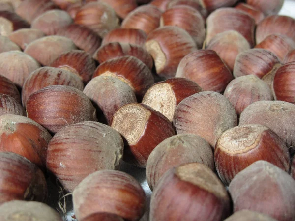 Herfstfruit Sluiten Van Hazelnoten Voedselachtergrond — Stockfoto